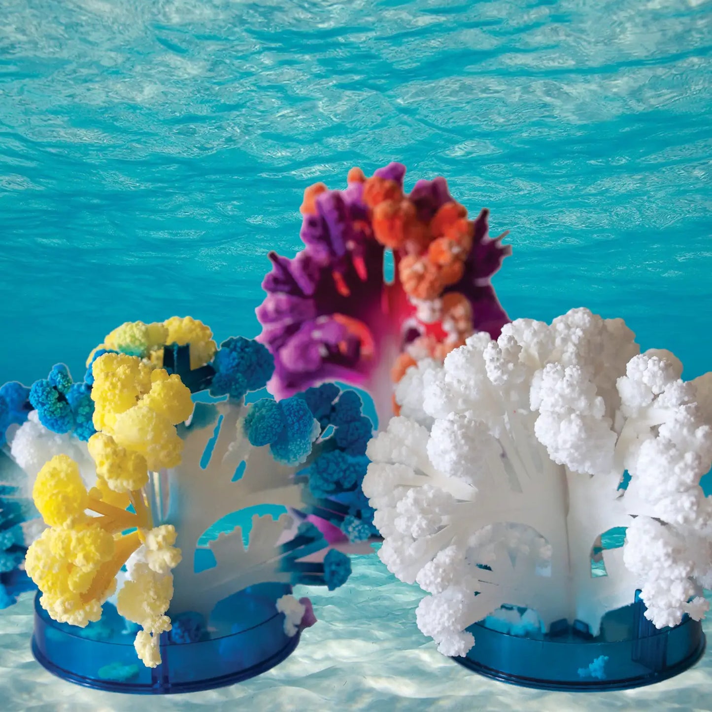 Crystal Growing Kit- Coral Reef