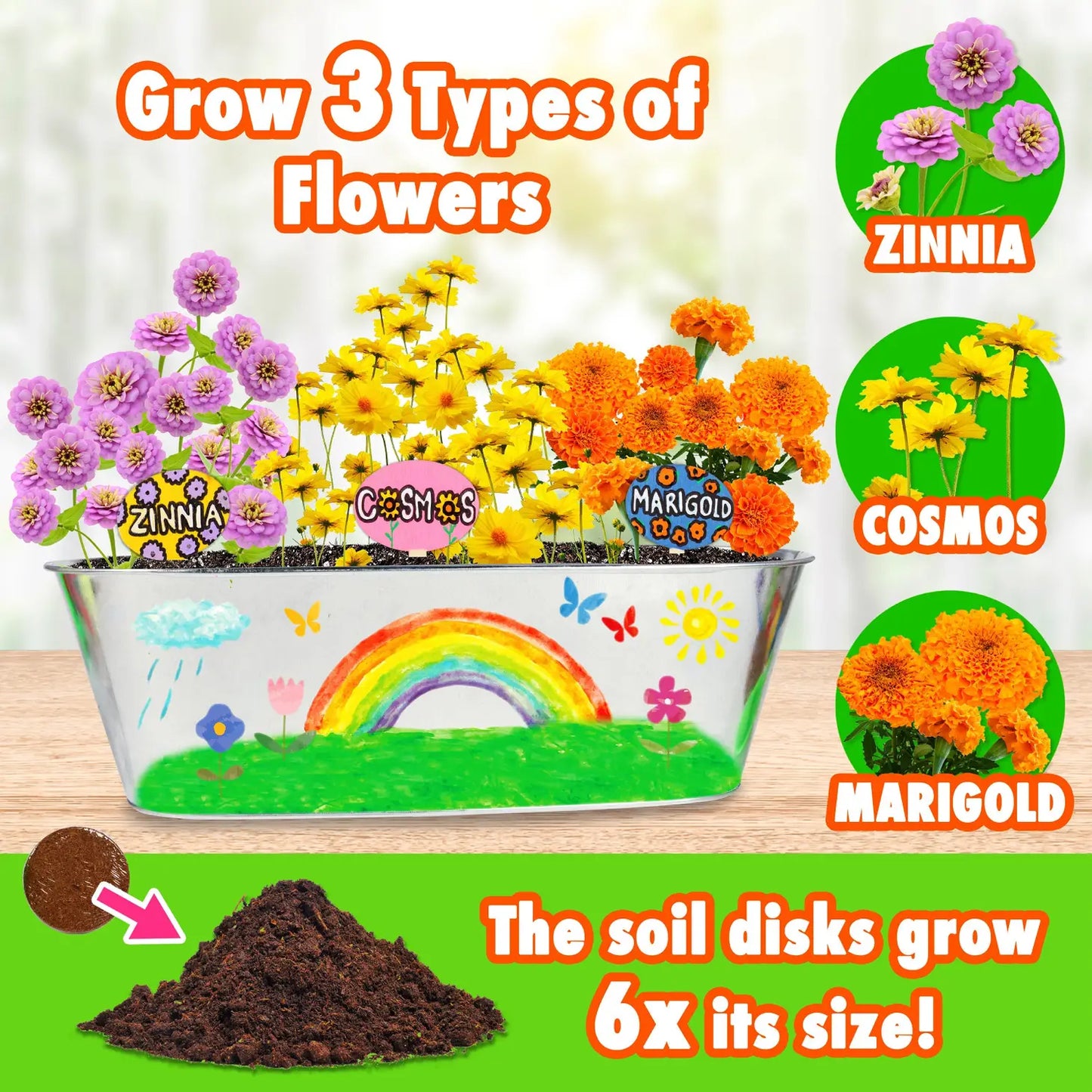 Miracle-Gro Paint & Plant- My First Flower Growing Kit