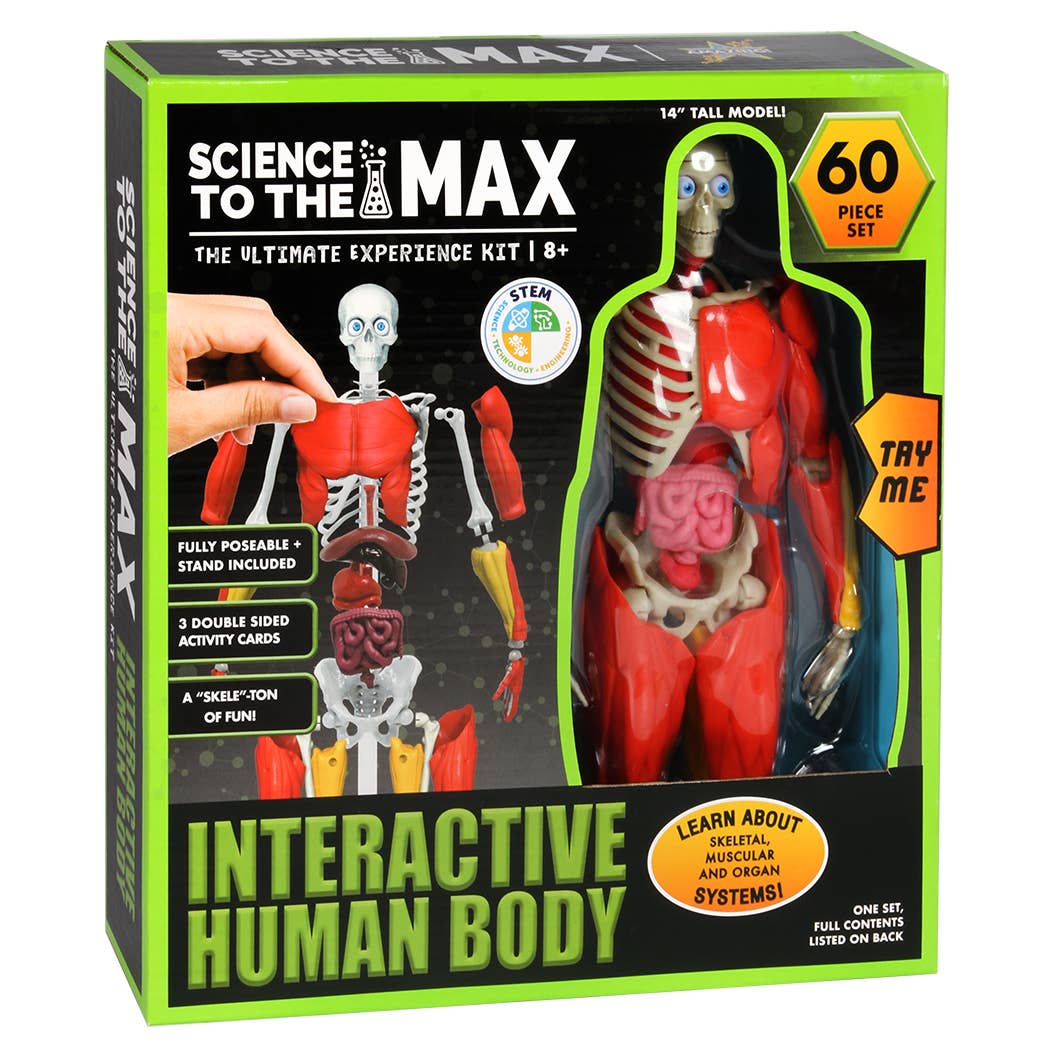 Science to the Max Human Body